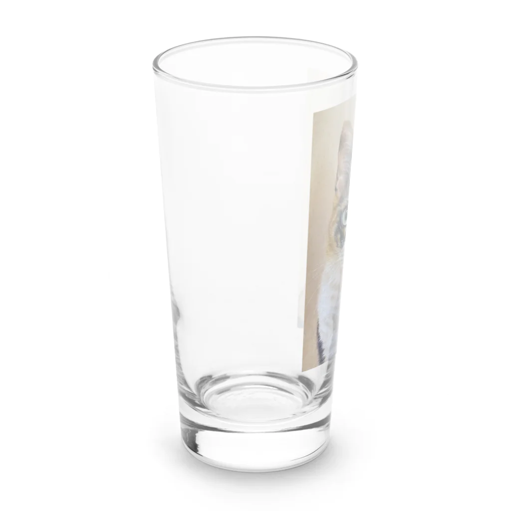 工房照在の三毛猫 Long Sized Water Glass :left