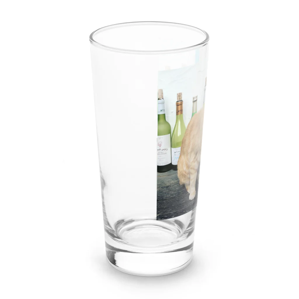 acobi'sの酒猫 Long Sized Water Glass :left