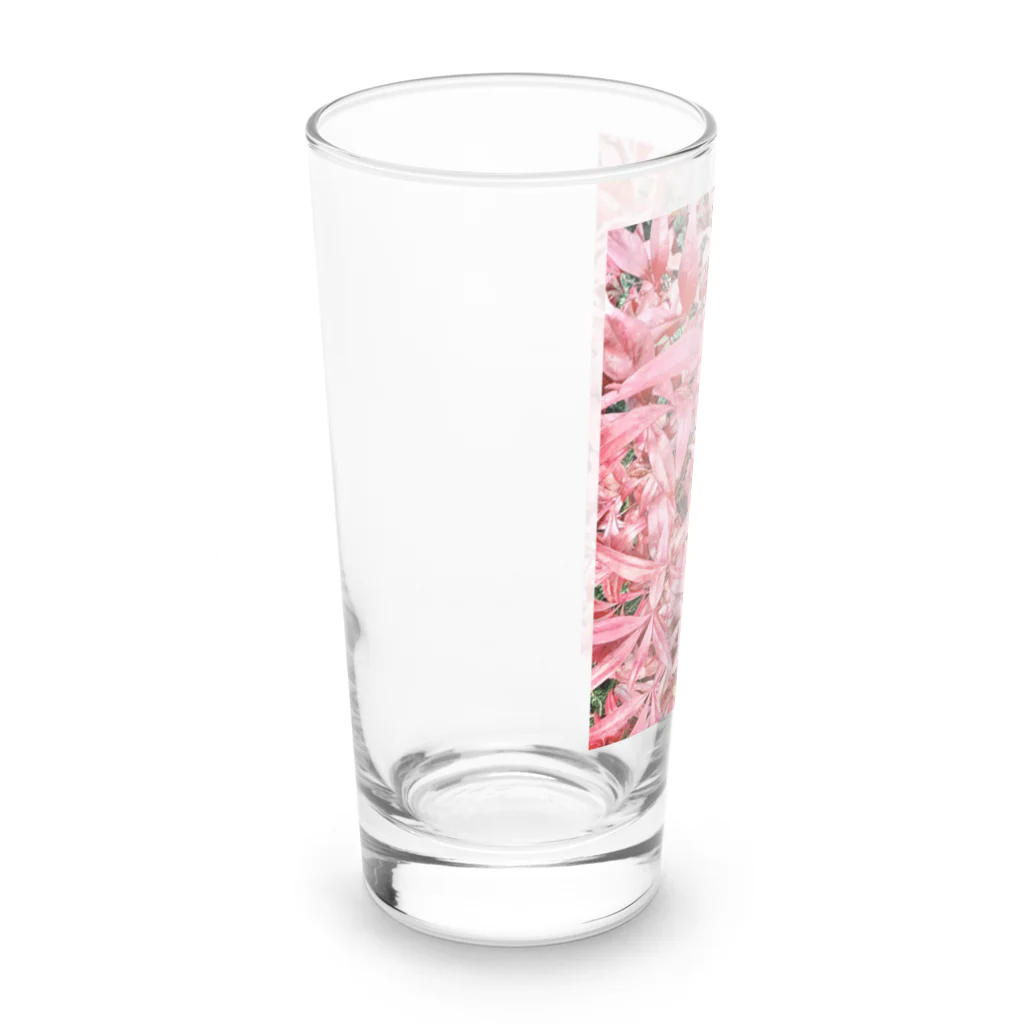soraruriの愛紅 Aiku -NO.1- Long Sized Water Glass :left