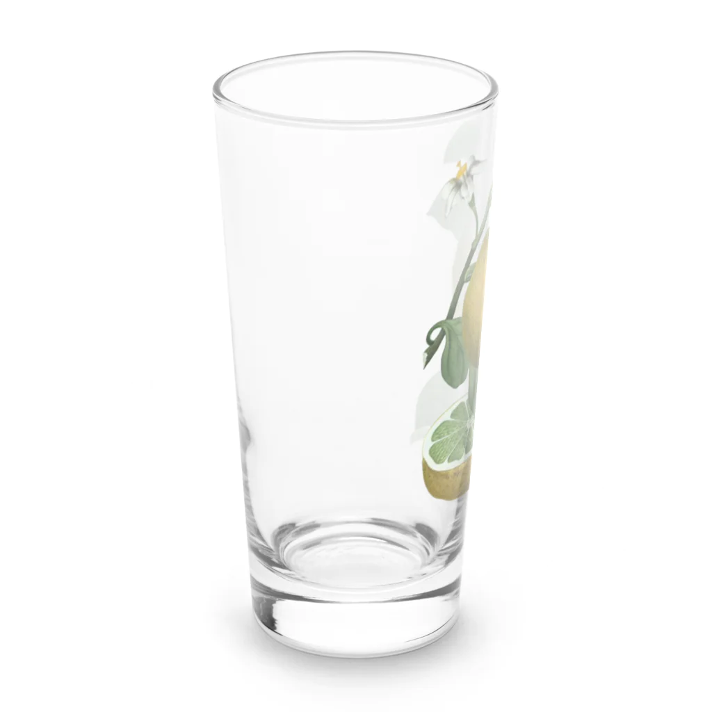 Saza-nami Antique designのシトラス Long Sized Water Glass :left