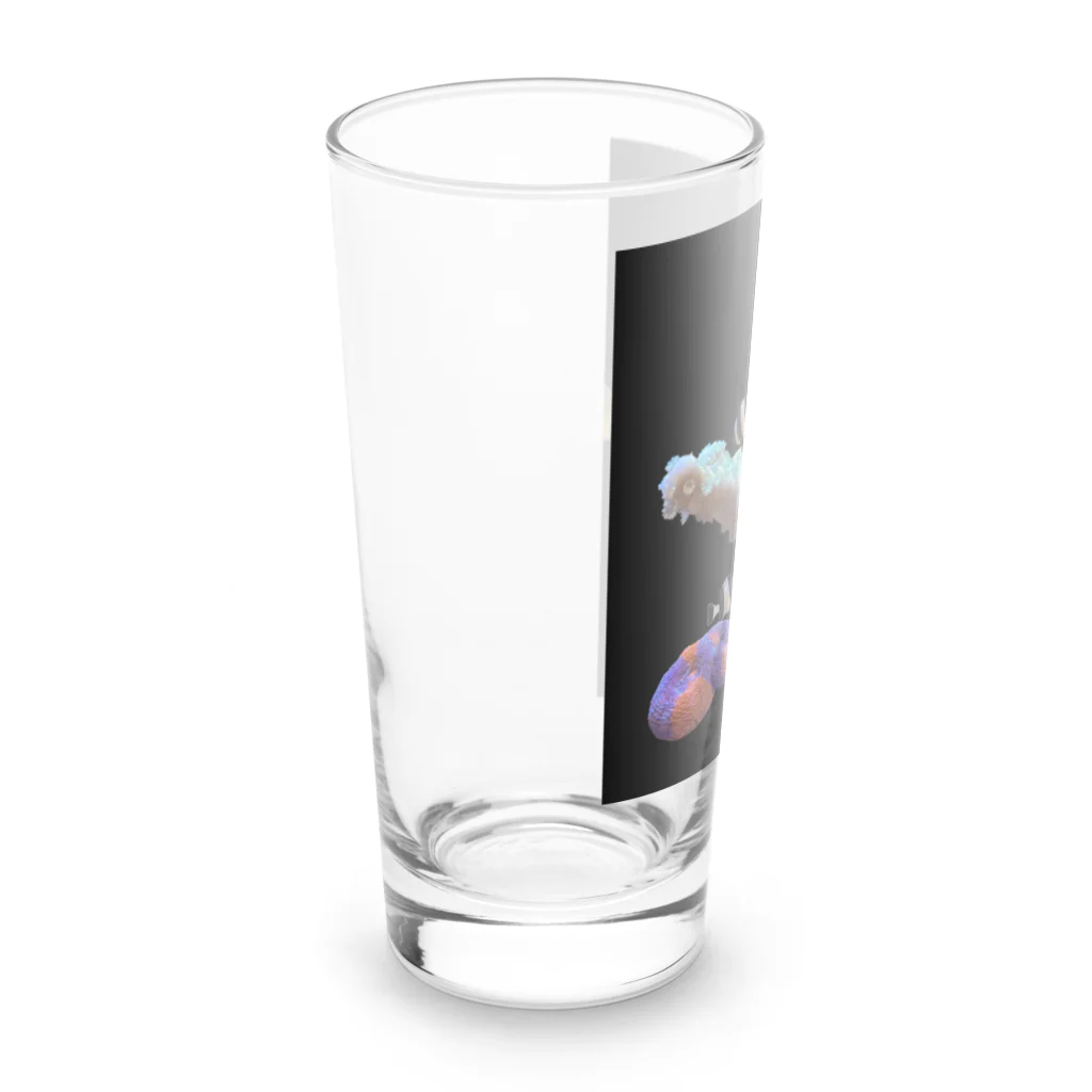 marron storeのマリンアクアリウム専用マグカップ Long Sized Water Glass :left