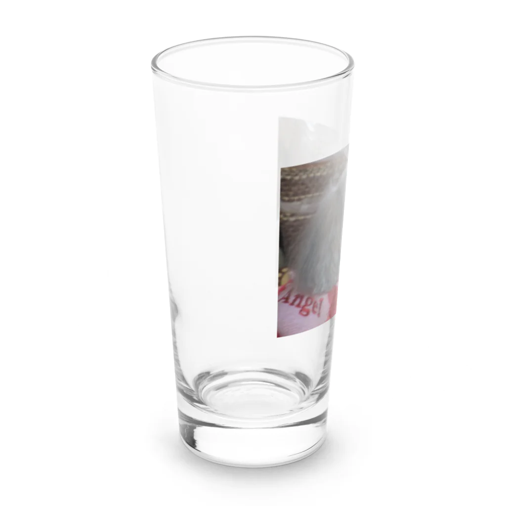 iyasinceのお犬好し「ぱぁるたん」コミュニケーション能力 Long Sized Water Glass :left