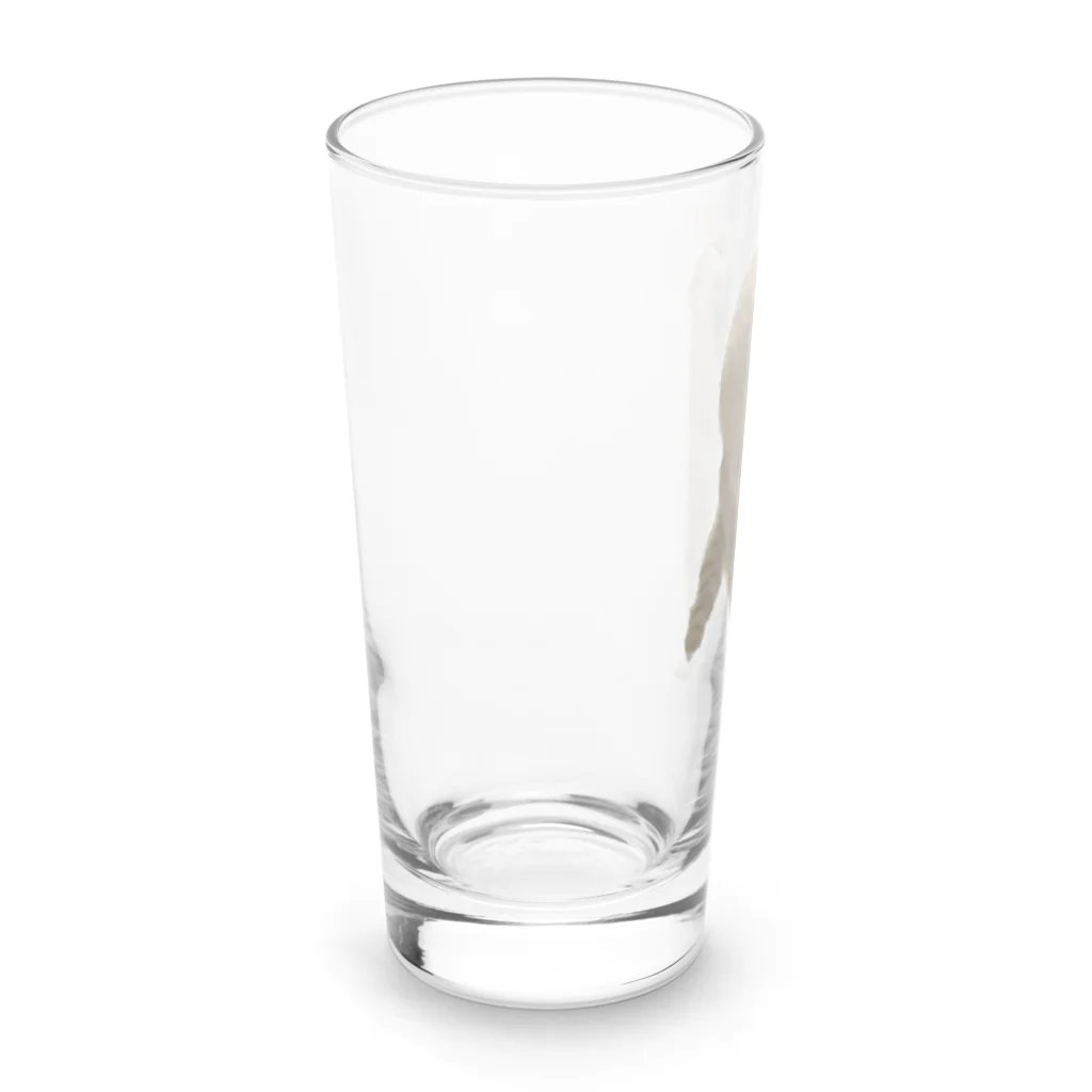 茶トラねこずのあくび猫のシロ Long Sized Water Glass :left