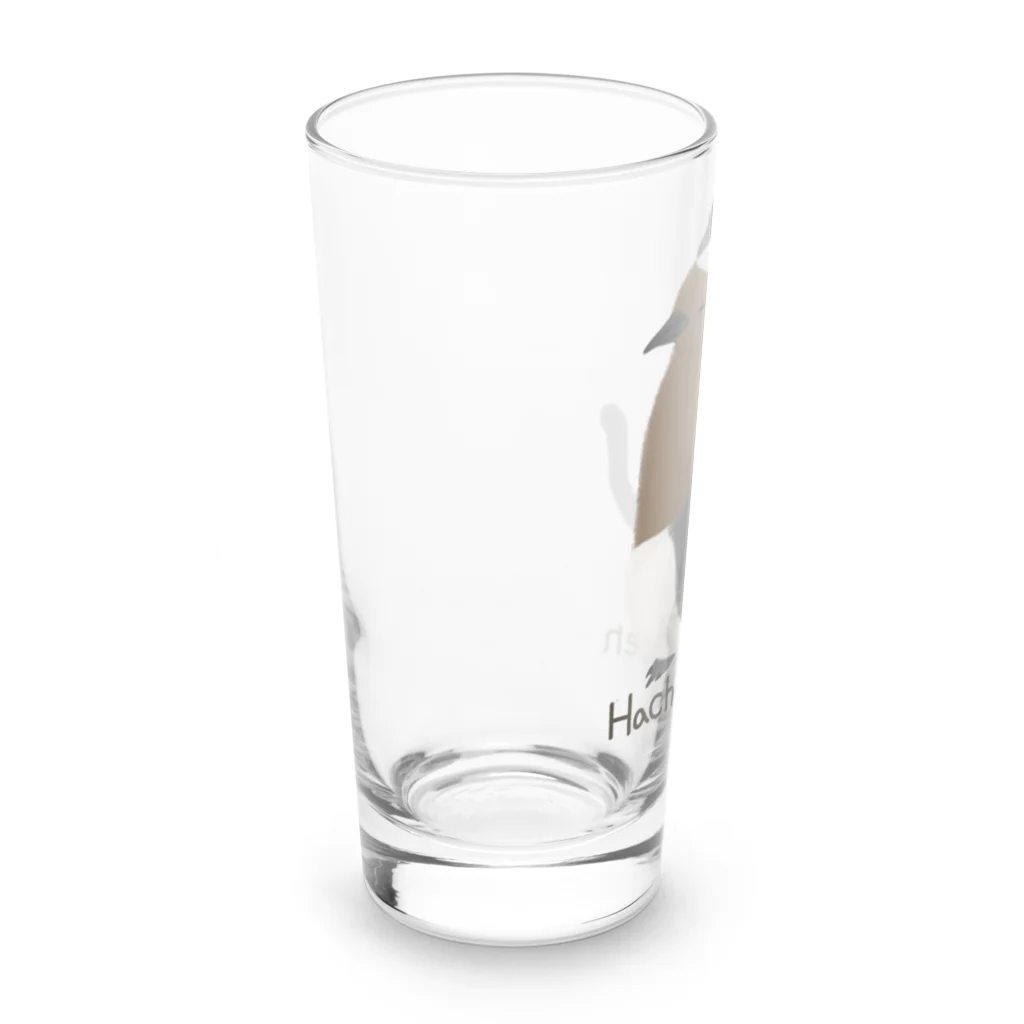 ピゴセリス属のHachiwarePen Long Sized Water Glass :left