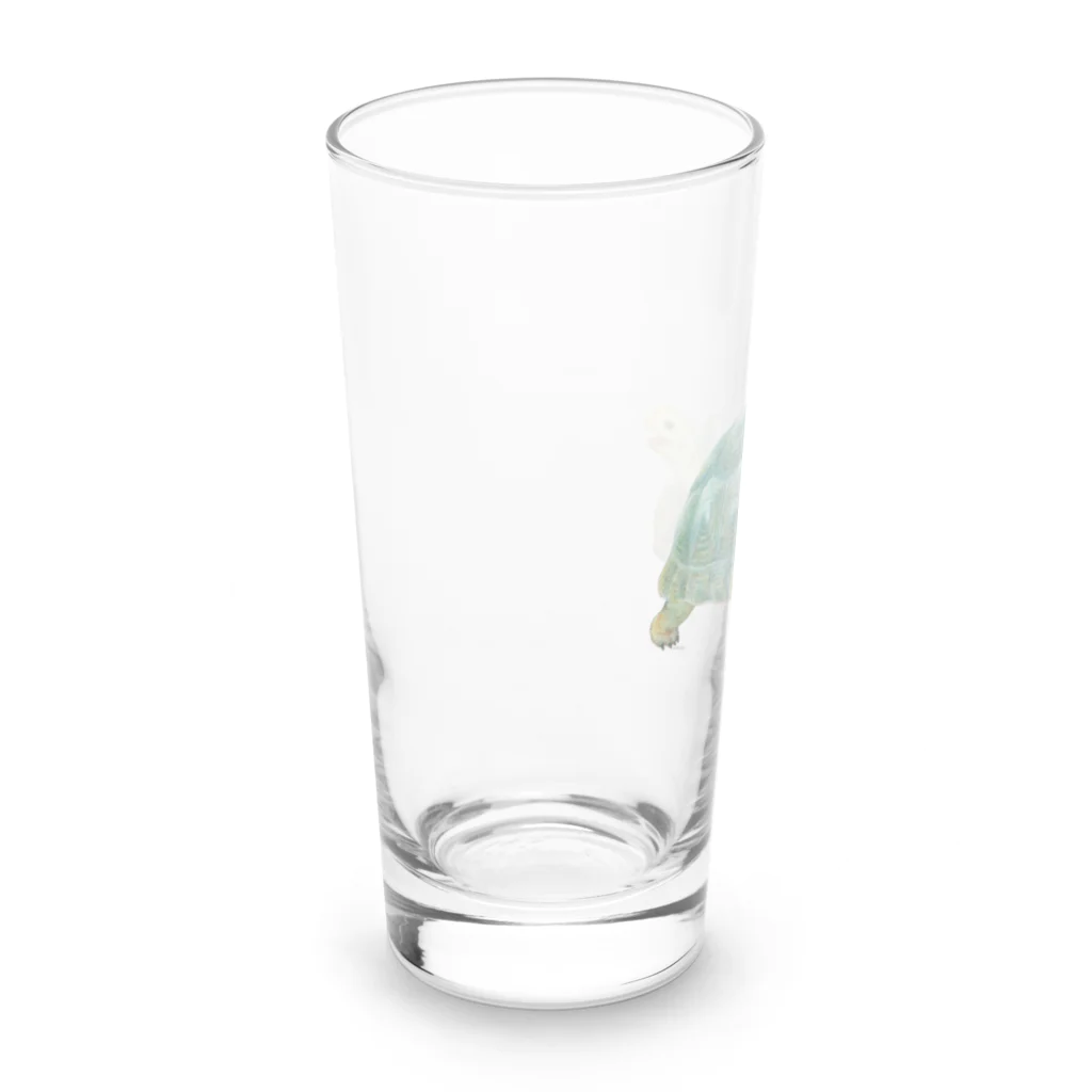 めろんぽっぷのお店だよの踏みだせ、アルダブラゾウガメ 。 Long Sized Water Glass :left