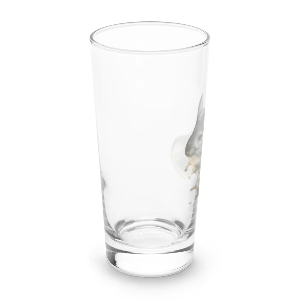 いきもの大好き！ほほえみフレンズのチンチラが好きな人の為のアイテム Long Sized Water Glass :left