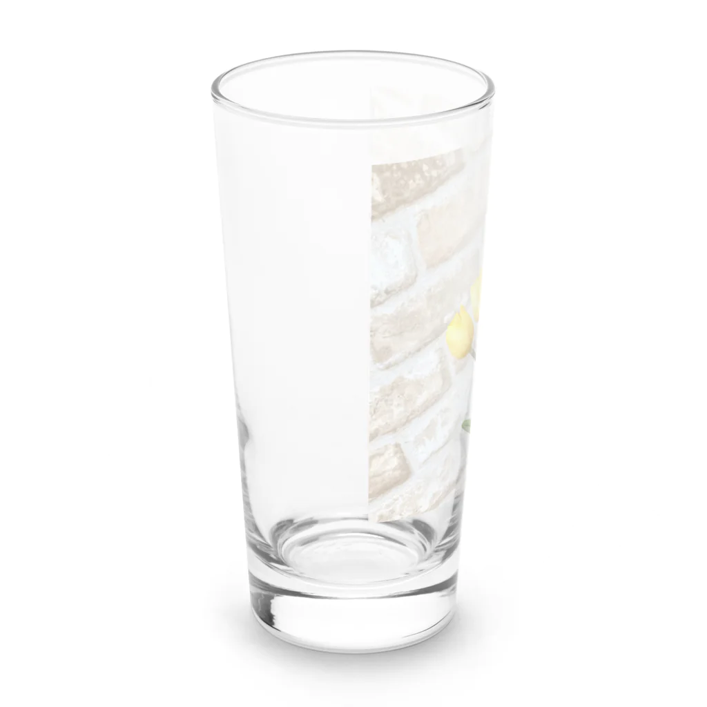 スマイル☆ドリームのチューリップドリーム Long Sized Water Glass :left