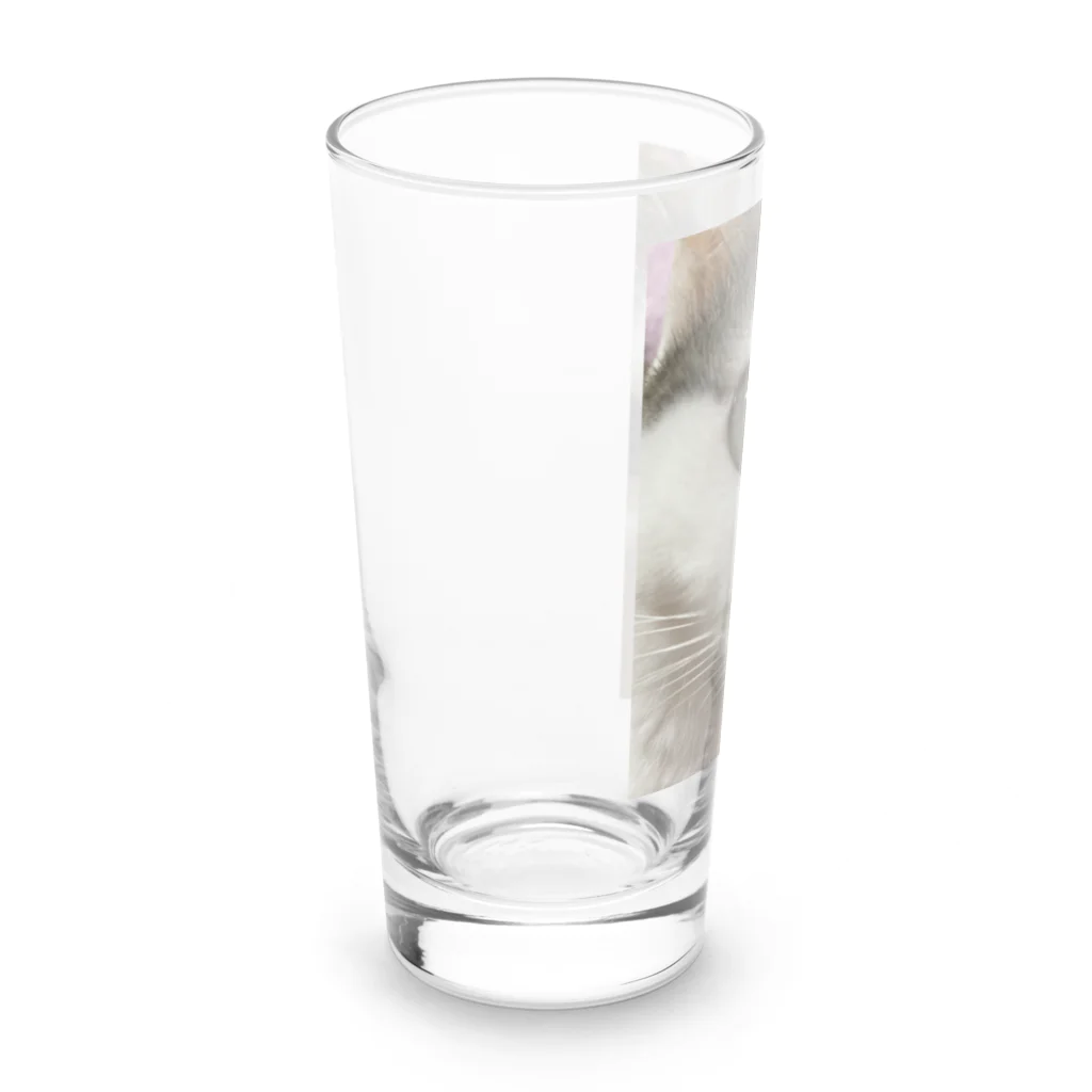 わが家の猫山さん。の猫山さん。はるがきた。 Long Sized Water Glass :left