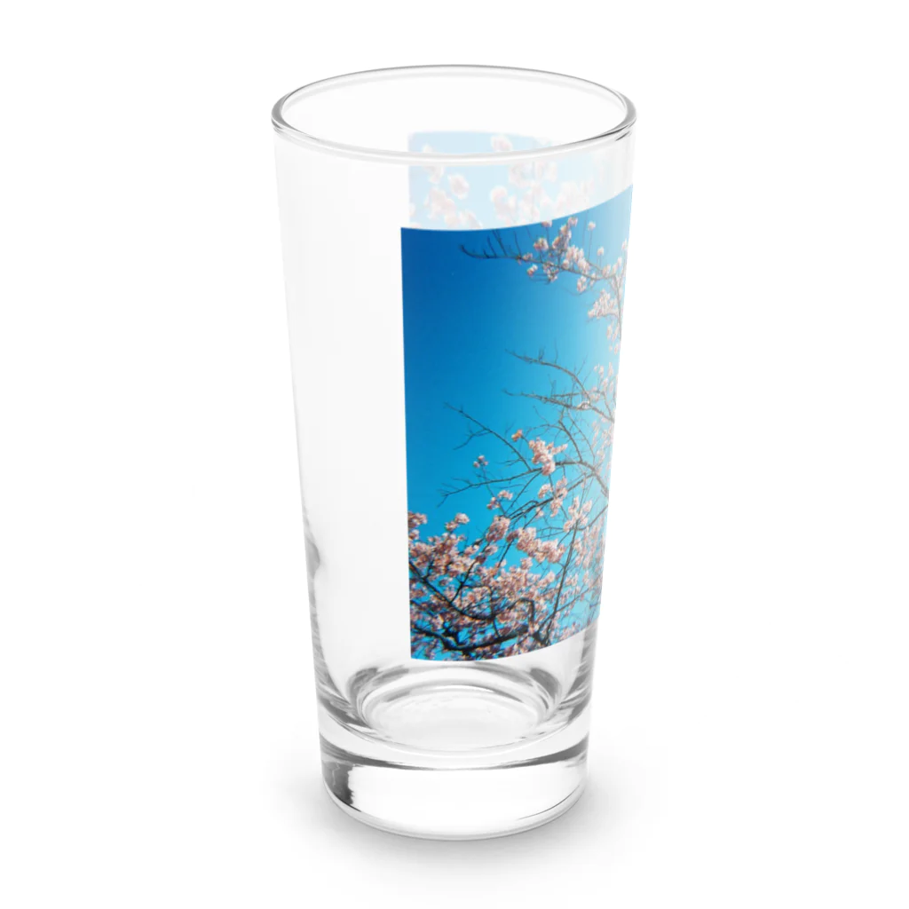堕天使ストアの桜 Long Sized Water Glass :left