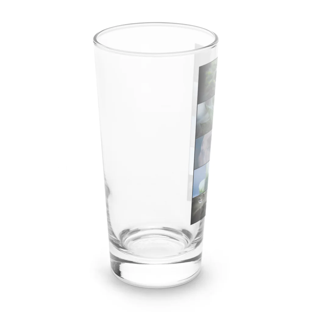 殿下と爬虫類。の多肉植物のある生活 Long Sized Water Glass :left