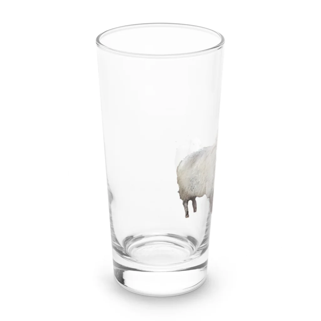 旅するナースの仔羊ルミ子 Long Sized Water Glass :left