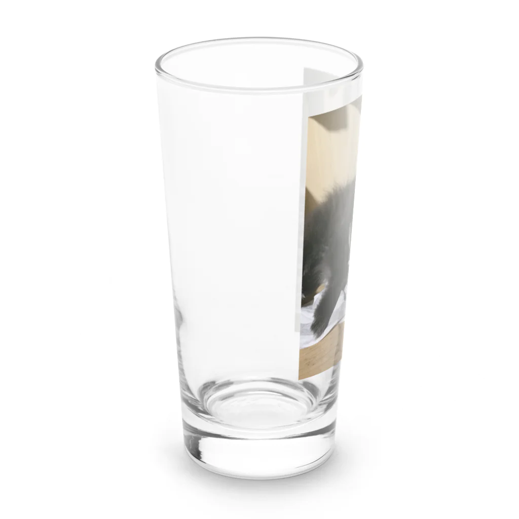 ♡（ぺるしゃむ）のぺろっとくろぽめ！ Long Sized Water Glass :left