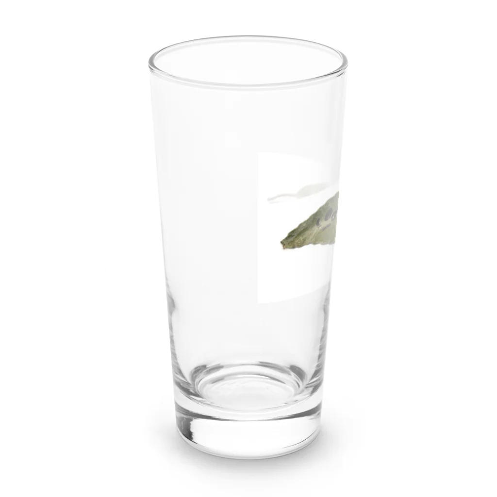 むすこたちのおみせのはっぱくん（長男） Long Sized Water Glass :left