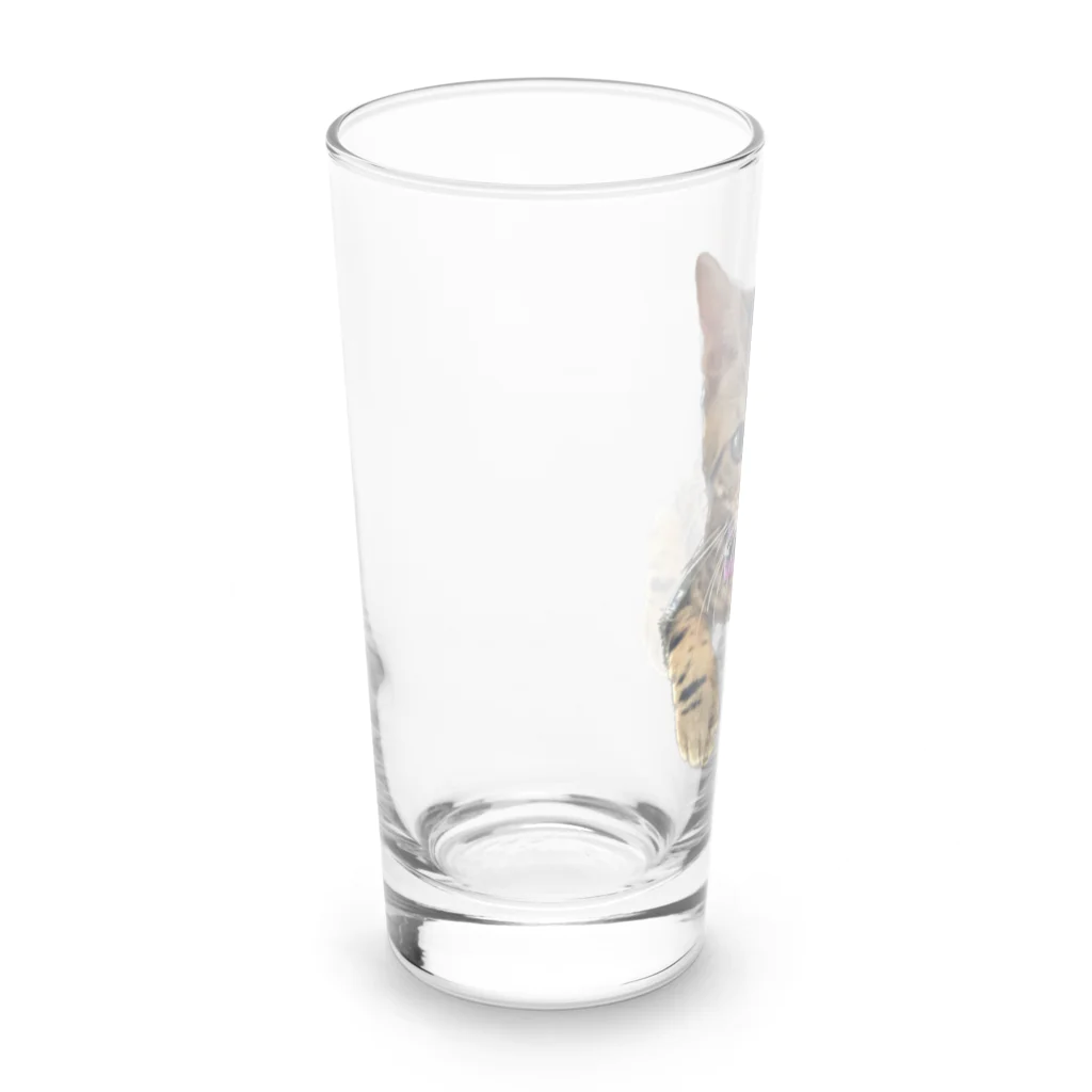 いくママ 猫との毎日のペロリンおむすび Long Sized Water Glass :left