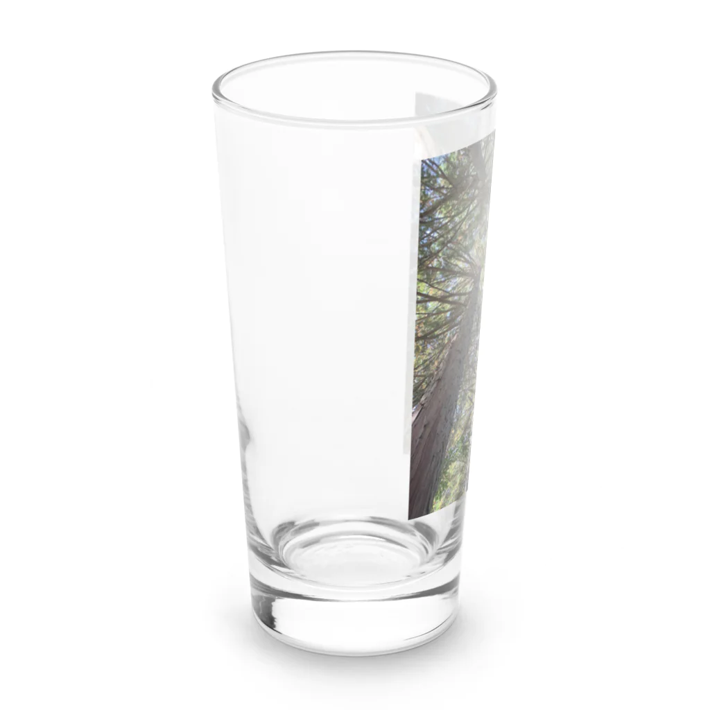 FIRE FLYのお山の木々 Long Sized Water Glass :left