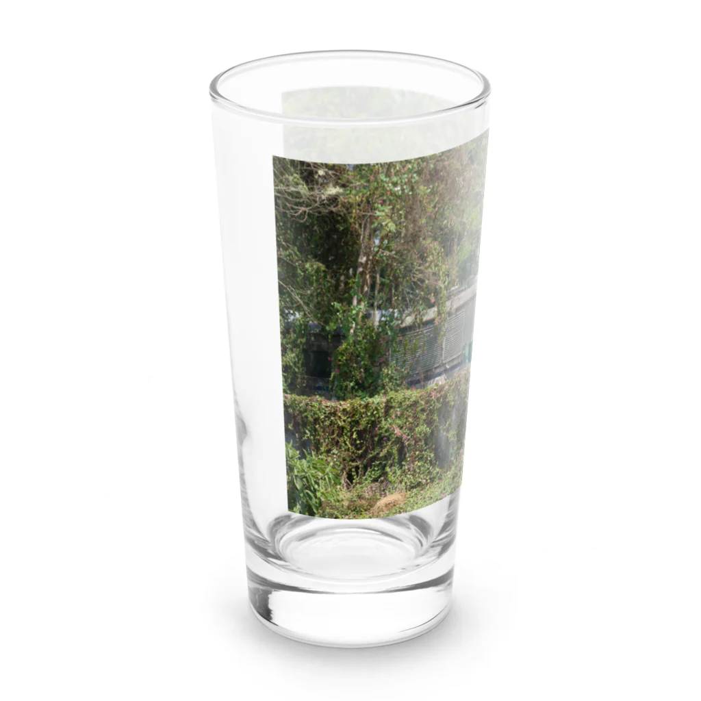 Second_Life_of_Railwaysの元特急「はまかぜ」キハ181系がミャンマーで朽ちてゆく Long Sized Water Glass :left