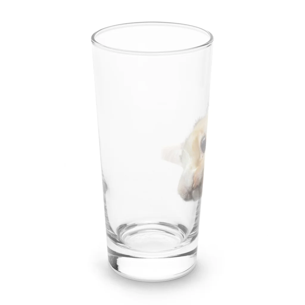 chestuntのにゃんきち Long Sized Water Glass :left