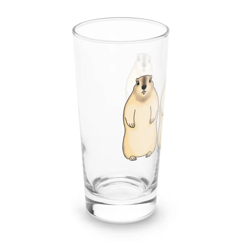 天十里SHOPのマーモット Long Sized Water Glass :left