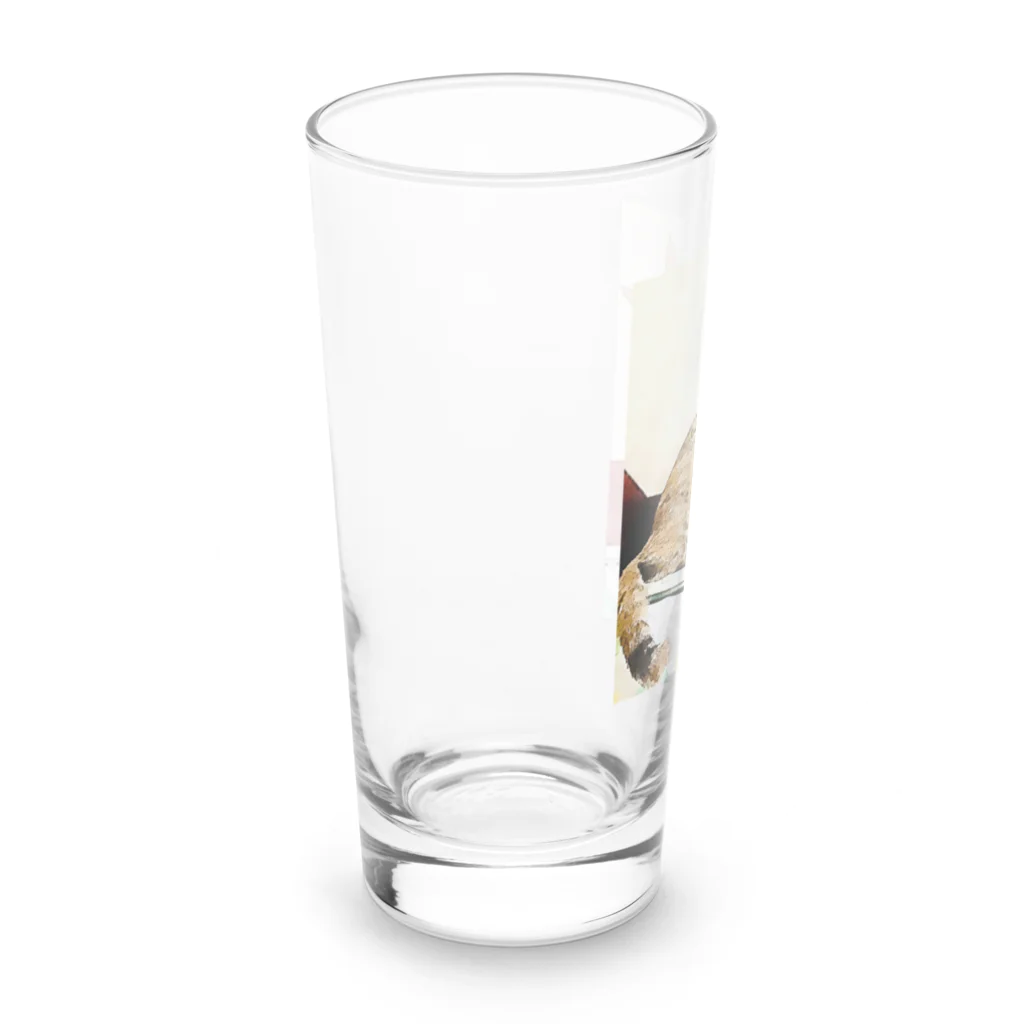 コハクのカーテンレールからニャンコ🐱 Long Sized Water Glass :left