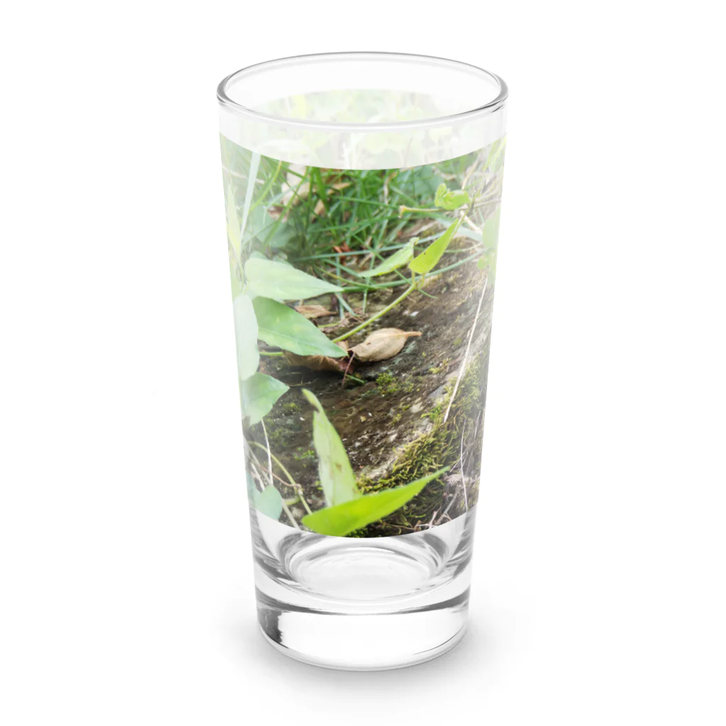tizujonoboukenの自然豊か Long Sized Water Glass :left
