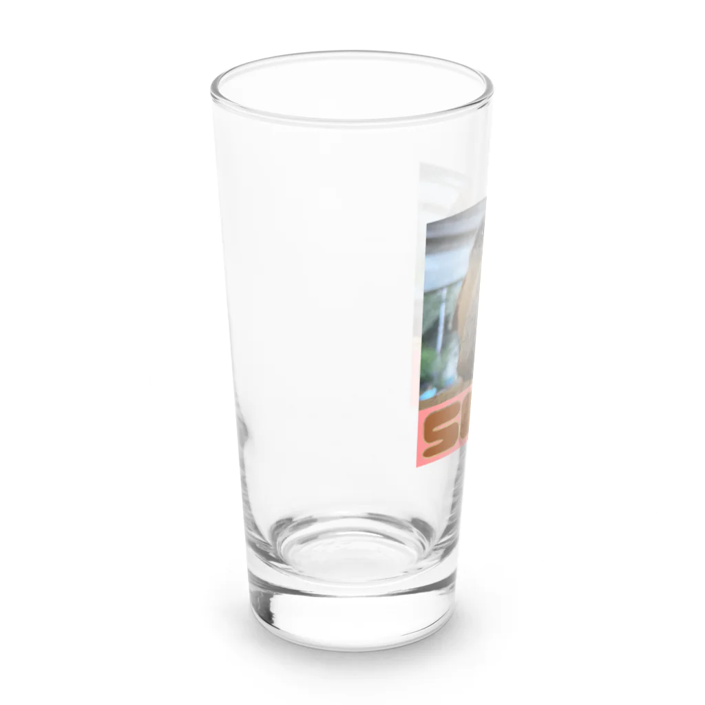 UDKshopのアメリカンピットブルのスポット君のグッズ Long Sized Water Glass :left