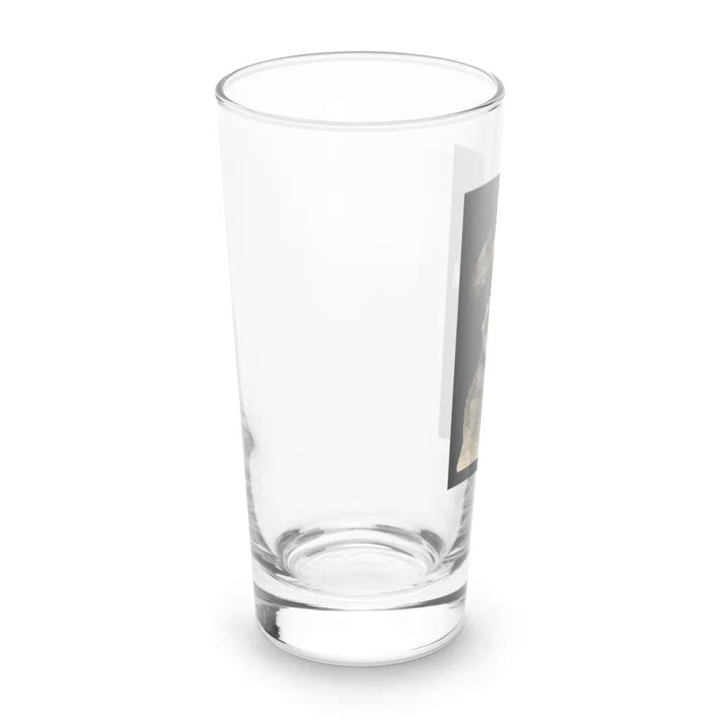 hanamarukuのシュナウザー　グッズ　キュート Long Sized Water Glass :left