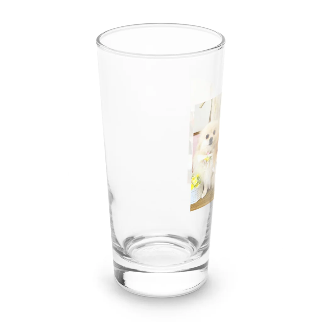 3pomeranian-leo-house　グッズショップのPomeranianlovers　ポメラニアン Long Sized Water Glass :left