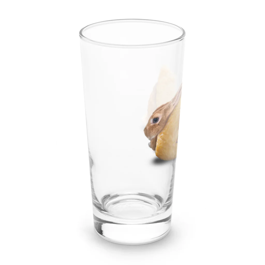 うさぎのうみちゃんねるショップの行楽のお供にお稲荷うさぎ-うさぎのうみ Long Sized Water Glass :left