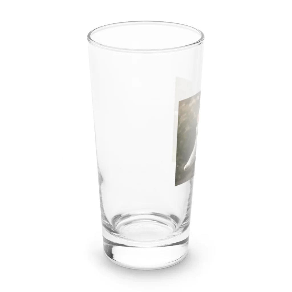 TAIYO 猫好きのフォトプリント美形白猫 Long Sized Water Glass :left