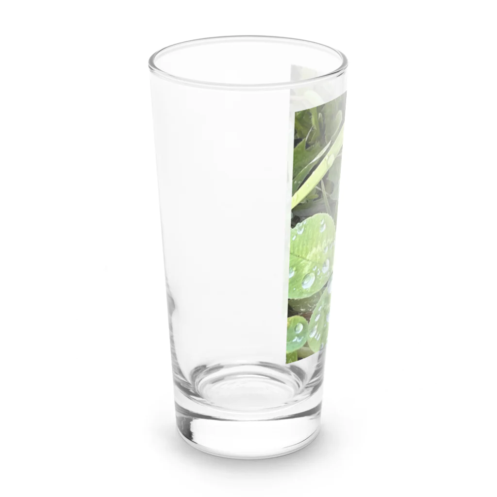 結び屋　美宇宙〜Misora〜の葉っぱの上の水玉 Long Sized Water Glass :left