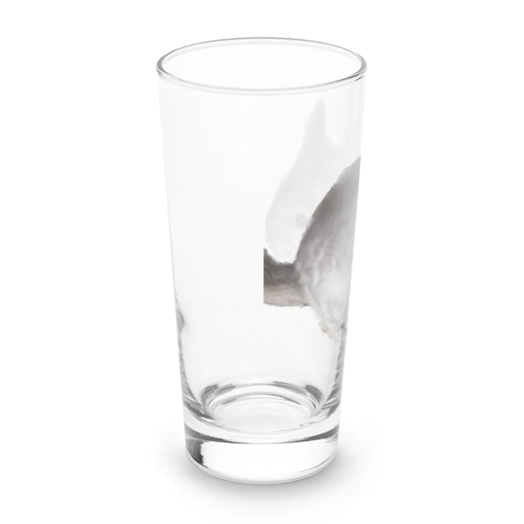 アニマルTAILのチンチラの望君 Long Sized Water Glass :left