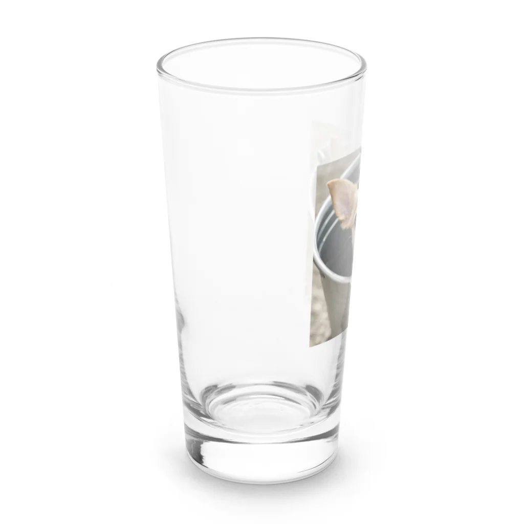 xdaのバケツに入ったチワワ Long Sized Water Glass :left