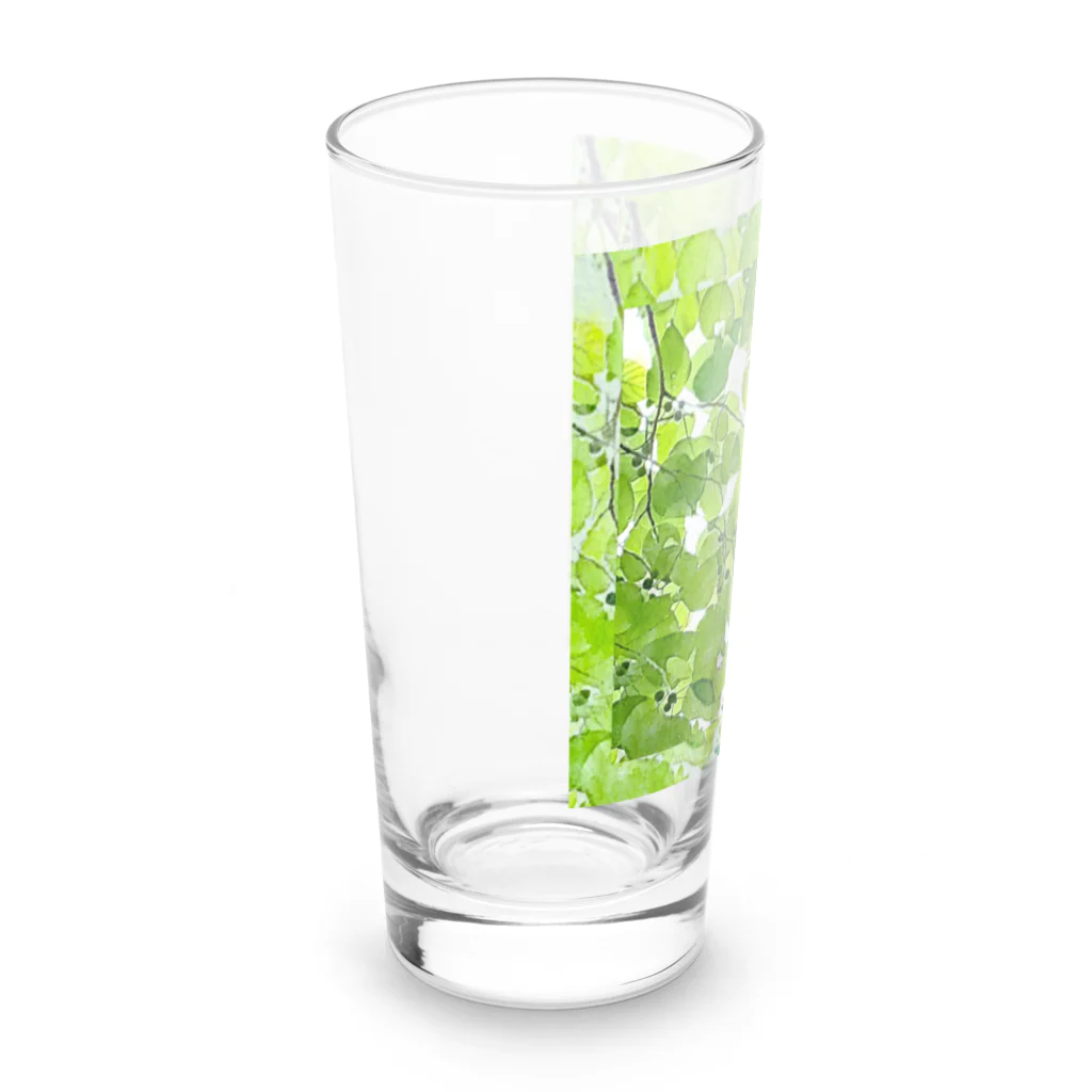 Hanamusubi001の森のエメラルド Long Sized Water Glass :left