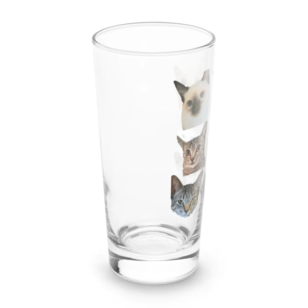 猫の隠れ家のセンスゼロ・デモ・イチバン Long Sized Water Glass :left