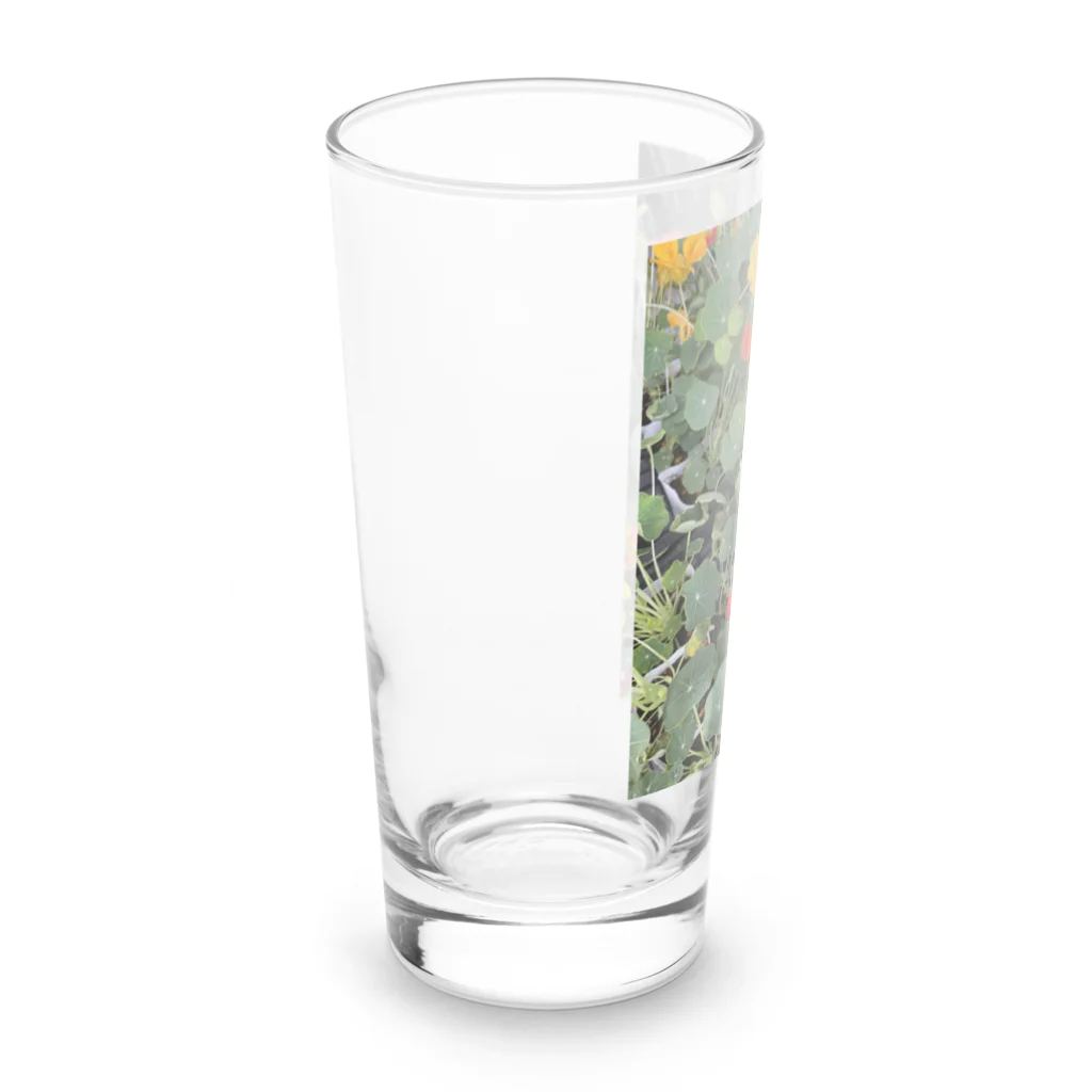 ★華霊KAREI★のお花畑 Long Sized Water Glass :left