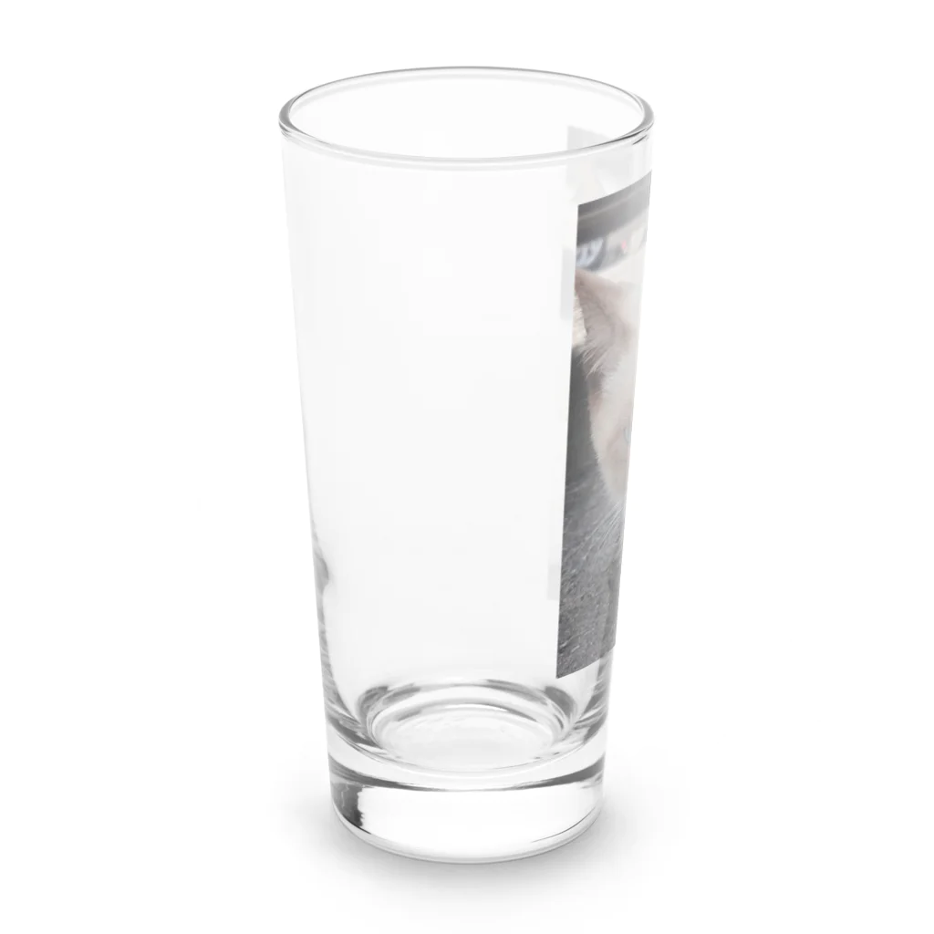 Makoto_Kawano Designの悪そうなのにカワイイ猫ちゃん Long Sized Water Glass :left