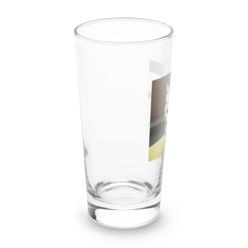 anagram12の子猫 Long Sized Water Glass :left
