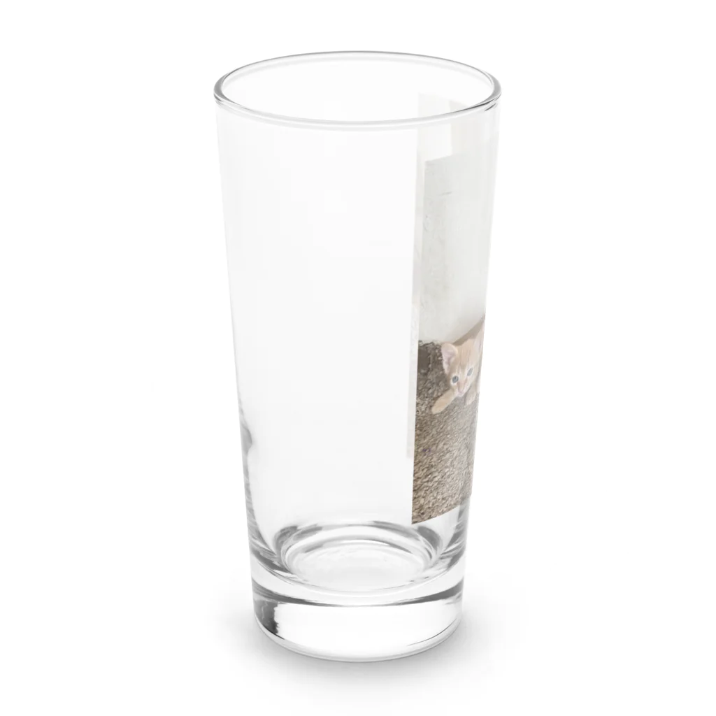 ANAROGUの可愛い猫 Long Sized Water Glass :left