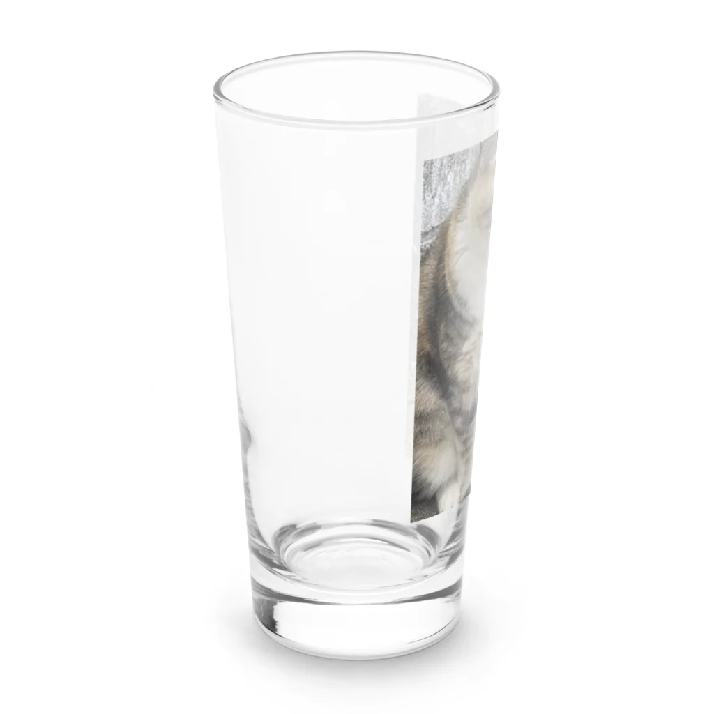 Uターン柴の立ち寝ネコ Long Sized Water Glass :left