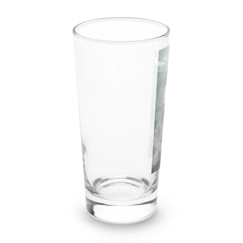 ミニピンショップのミニチュアピンシャーオリジナルグッズ第一弾 Long Sized Water Glass :left