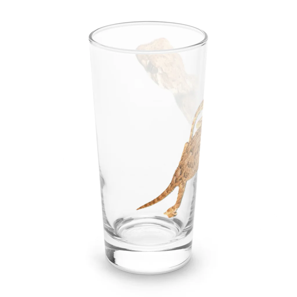 ちー坊のヘルメットゲッコー Long Sized Water Glass :left