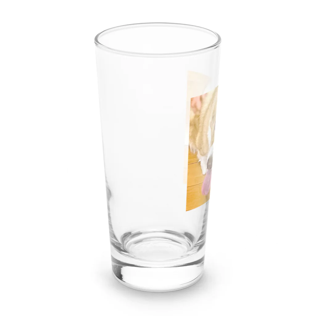 "Canvas Harmony"の笑顔溢れるコーギー、あおくん Long Sized Water Glass :left