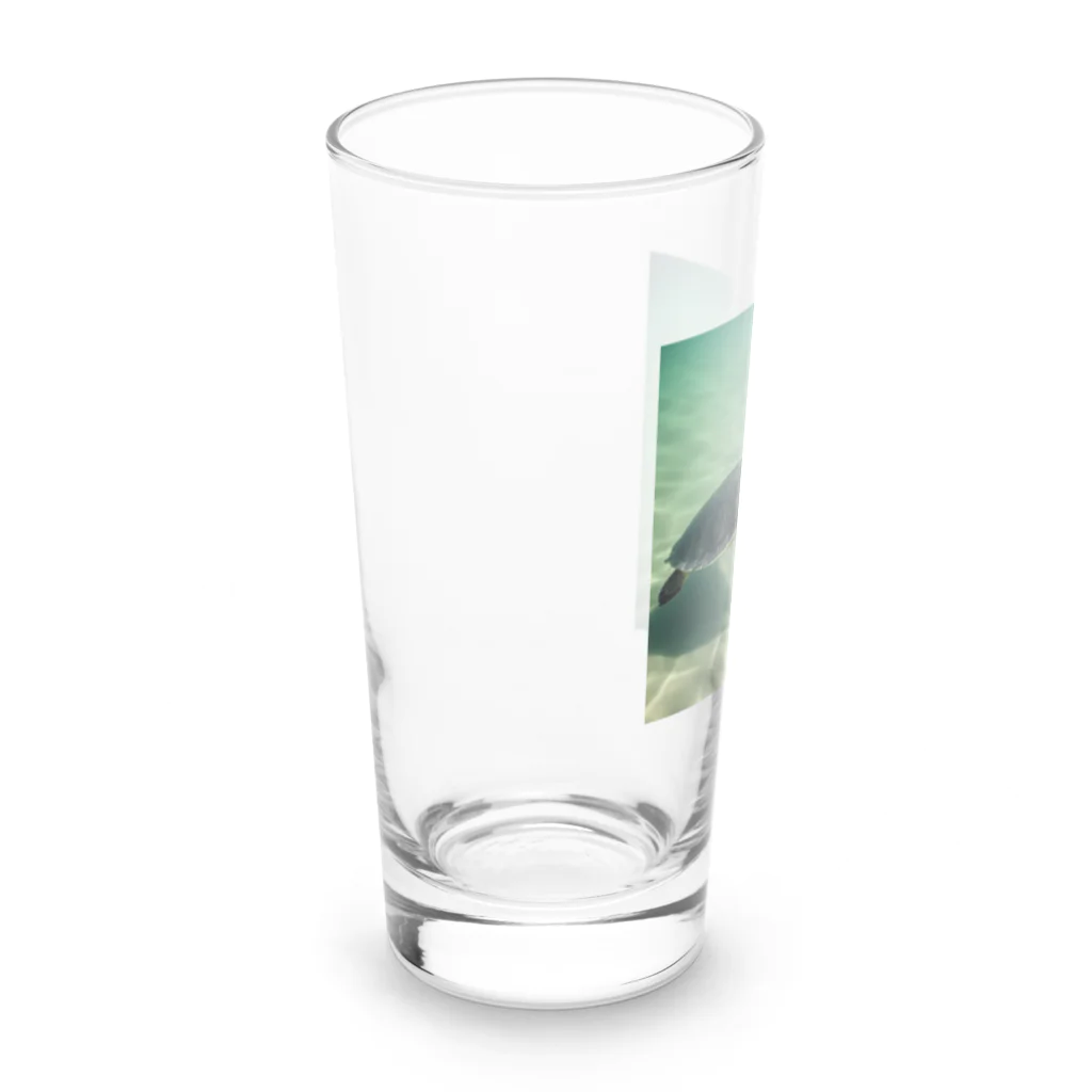 hinn-ketuの２、明日へ向かって泳ぐカメ Long Sized Water Glass :left