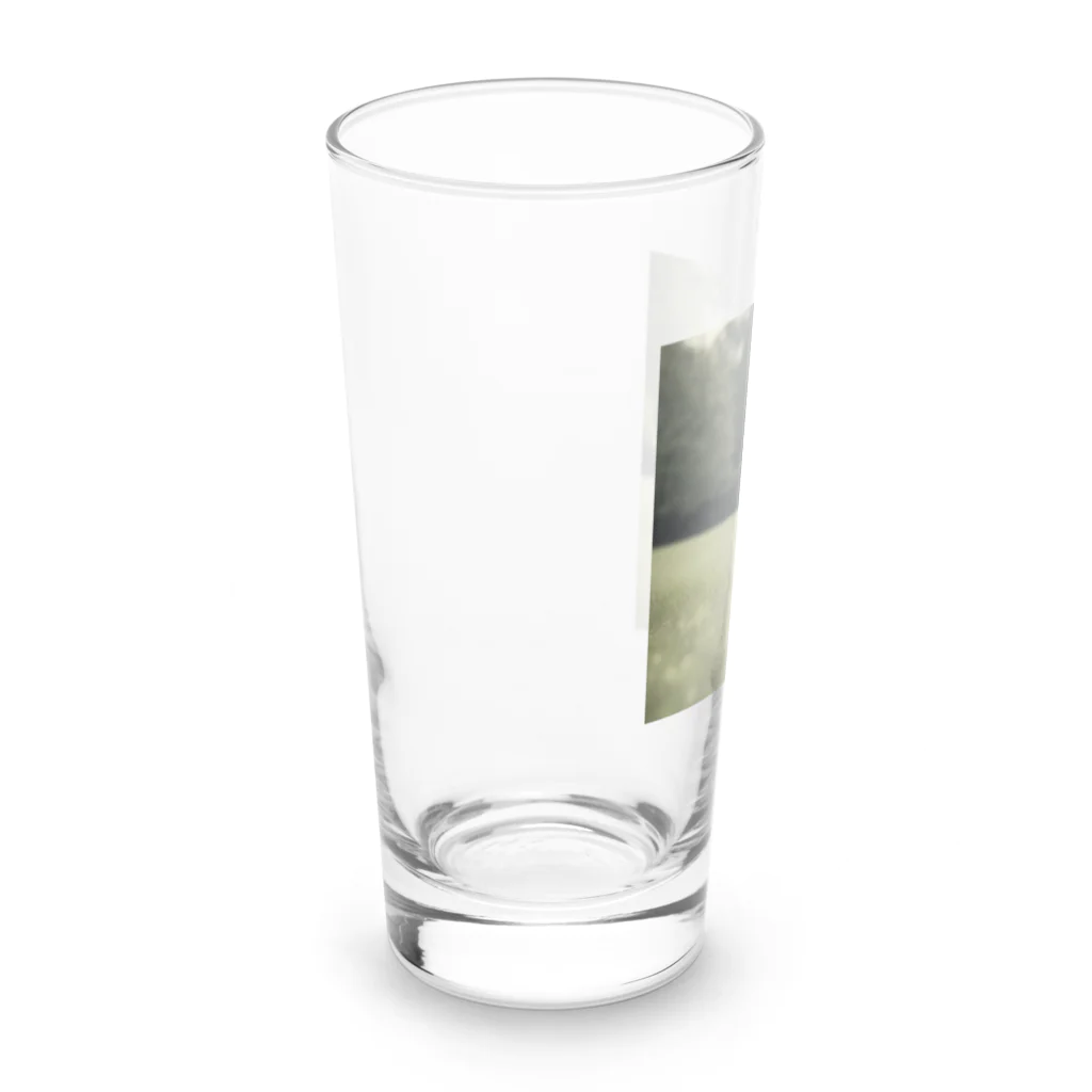 hinn-ketuの４、カメのお散歩 Long Sized Water Glass :left