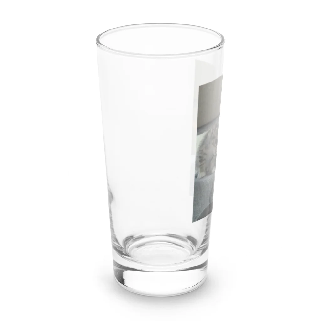 ショップyukimaroのネコちゃんたち Long Sized Water Glass :left