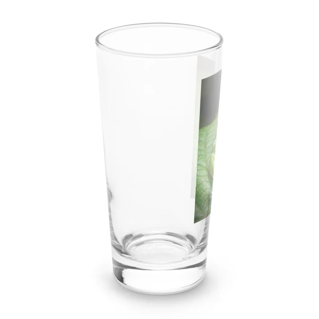 nl40のかえる hop Long Sized Water Glass :left