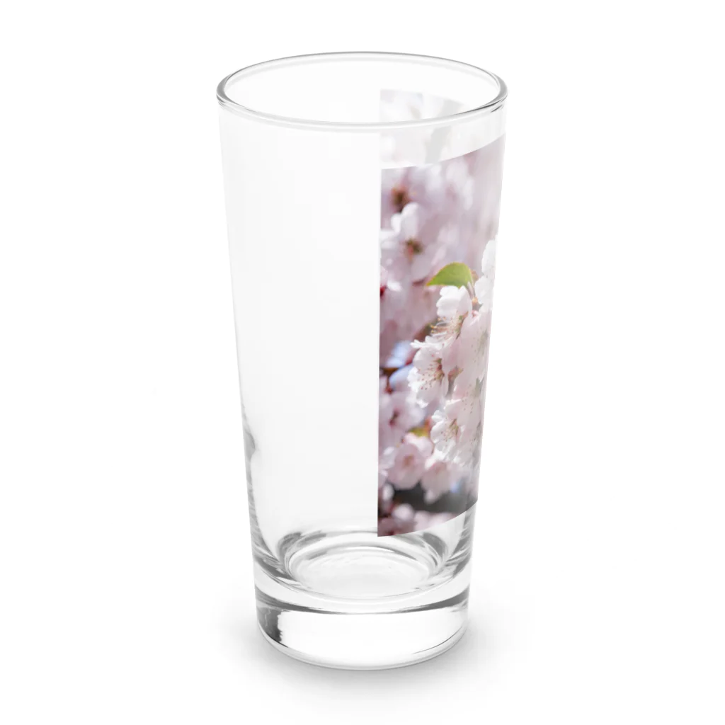 spencerのソメイ Long Sized Water Glass :left