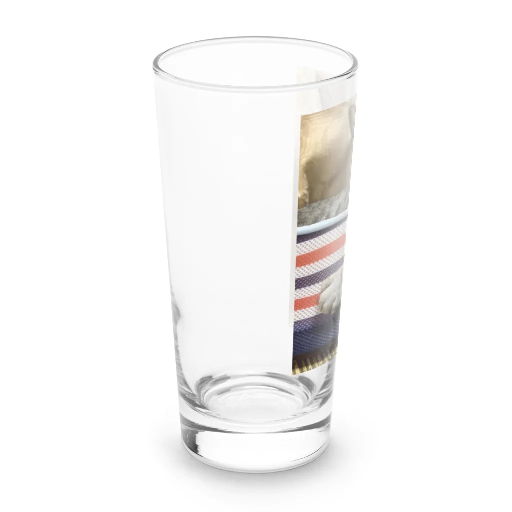 fashion-sametarouのワイルドだろ〜 Long Sized Water Glass :left