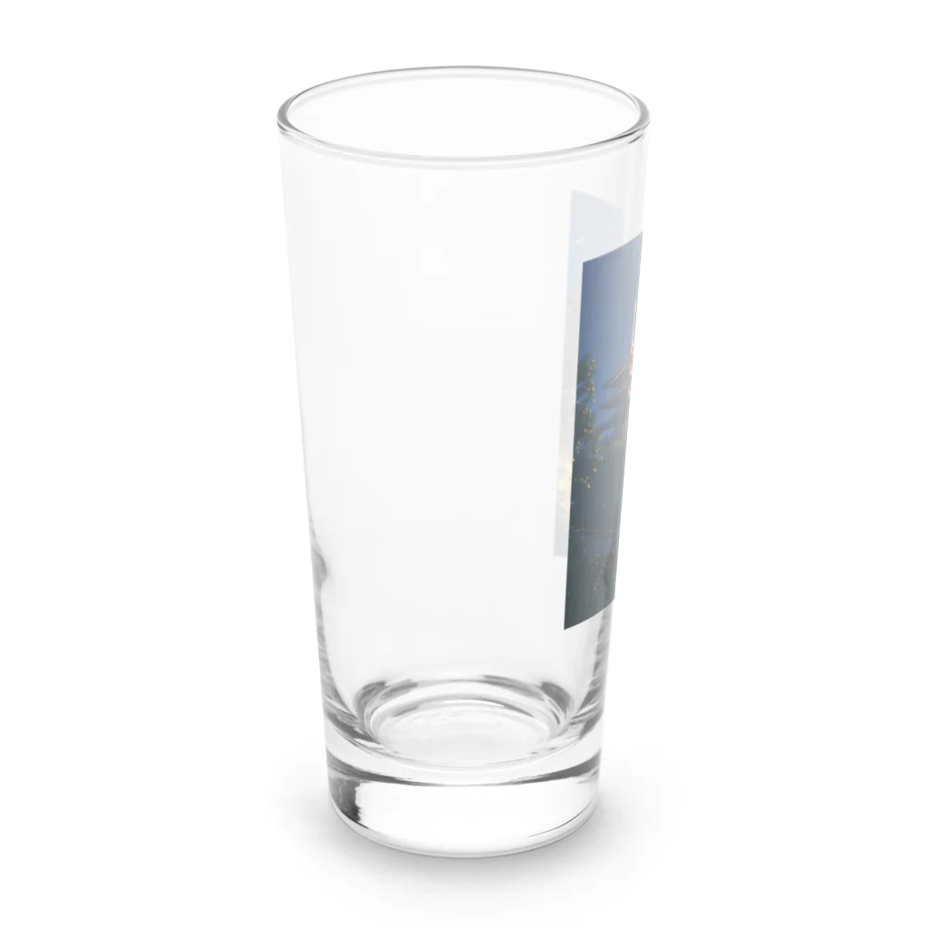 AQUAMETAVERSEの五重塔　なでしこ1478 Long Sized Water Glass :left