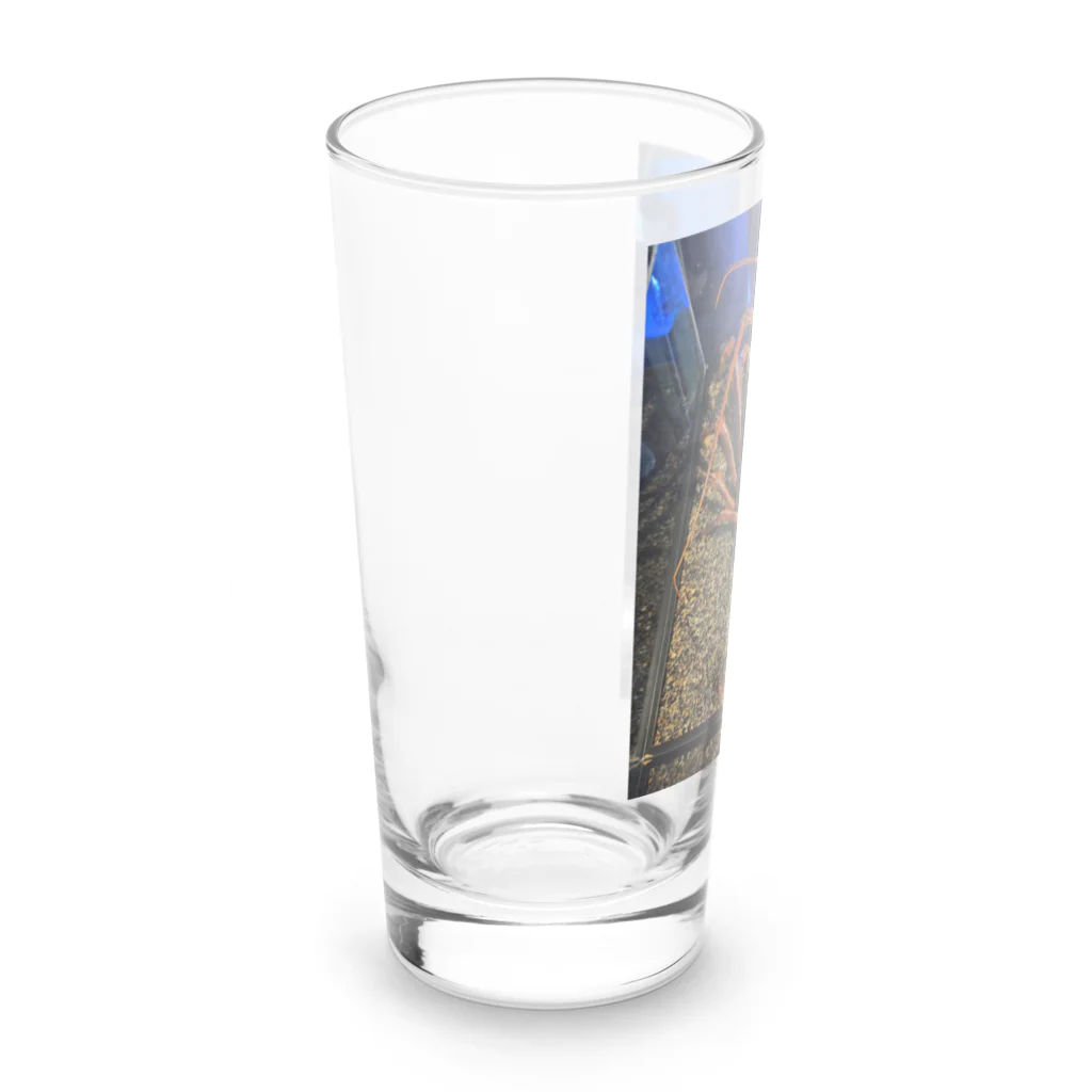 てぃっちゃんの伊勢海老 Long Sized Water Glass :left